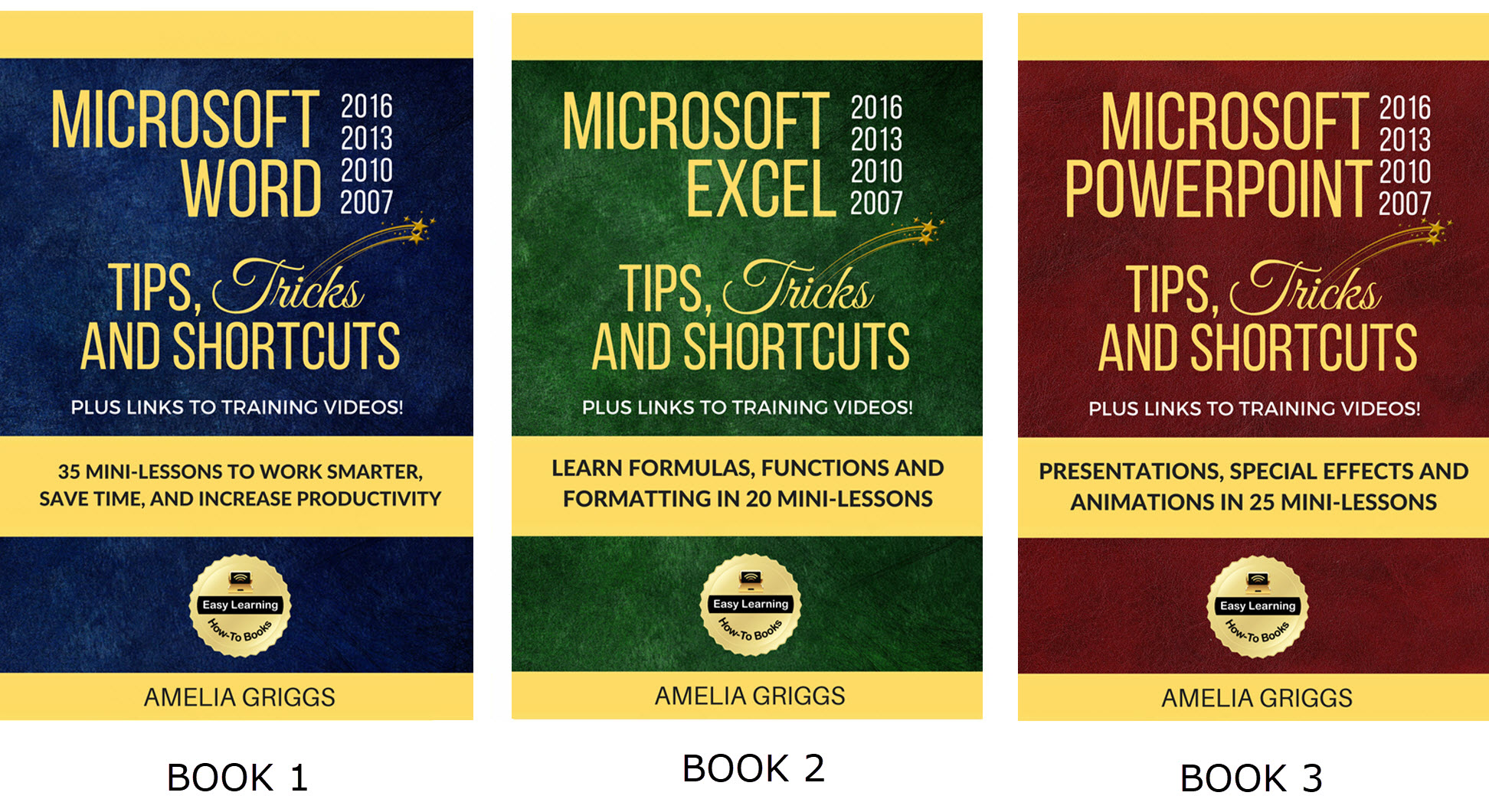 Microsoft Word, Excel and PowerPoint How-To Books
